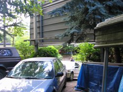 IMG_4477