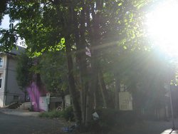 IMG_4495