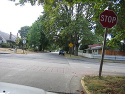 IMG_4516