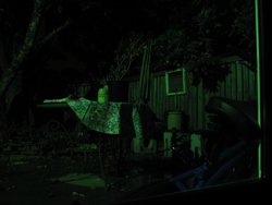 IMG_4552