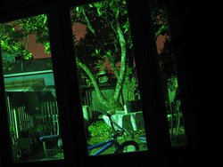 IMG_4556