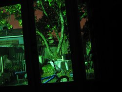 IMG_4557