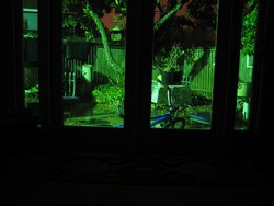 IMG_4559