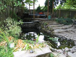 IMG_4565