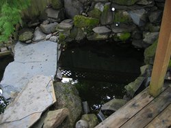 IMG_4567