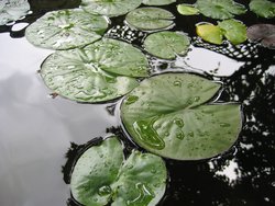 IMG_4573
