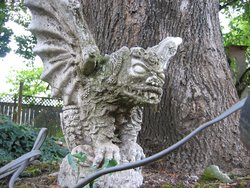 IMG_4579