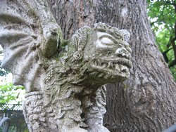 IMG_4580