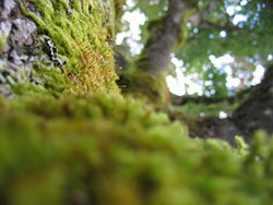 IMG_4581