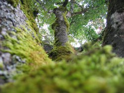 IMG_4589