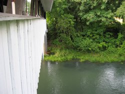 IMG_4598