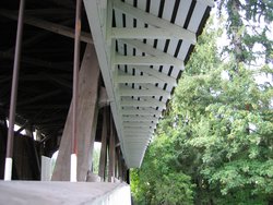 IMG_4599