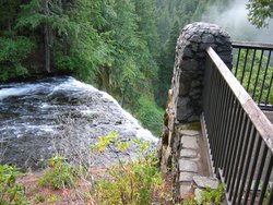 IMG_4603