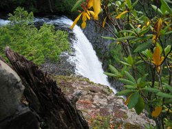 IMG_4605
