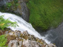 IMG_4608