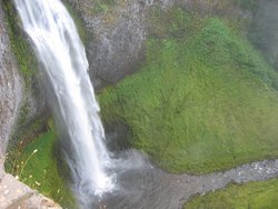 IMG_4610