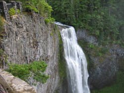 IMG_4611