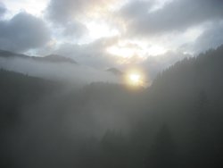 IMG_4613