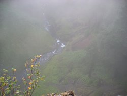 IMG_4618