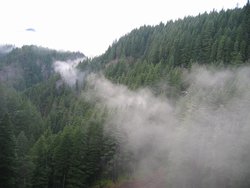 IMG_4620