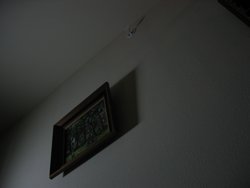 IMG_4662