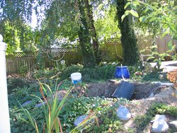 IMG_4720