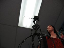 IMG_4732