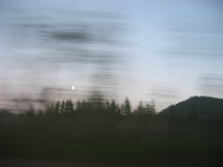 IMG_4764
