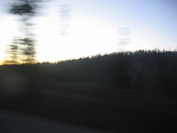 IMG_4767