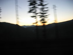 IMG_4768
