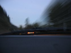 IMG_4772