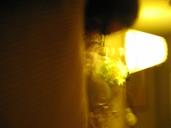 IMG_4779