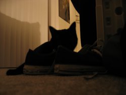 IMG_4794