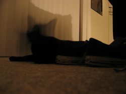 IMG_4795
