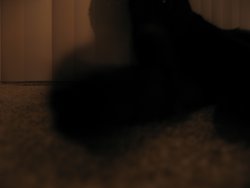 IMG_4798