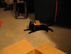IMG_4800