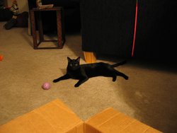 IMG_4803