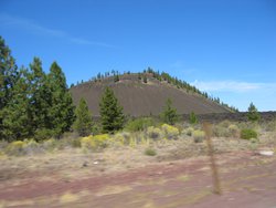IMG_4815