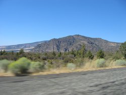 IMG_4832