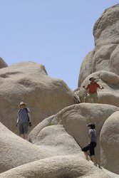 CRW_2872