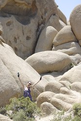 CRW_2873