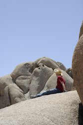 CRW_2875