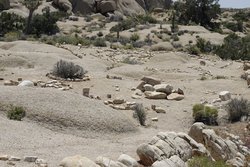 CRW_2893