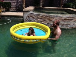 IMG_3800
