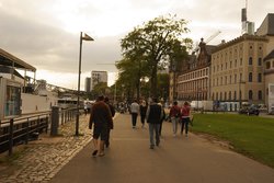 _DSC0857