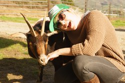 Caroline making friends with the goat