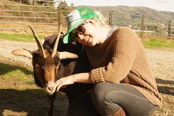 This goat demanded pets