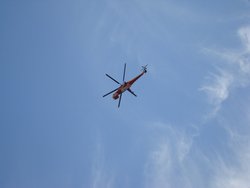 DSC00294