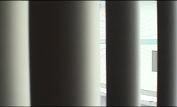 2005